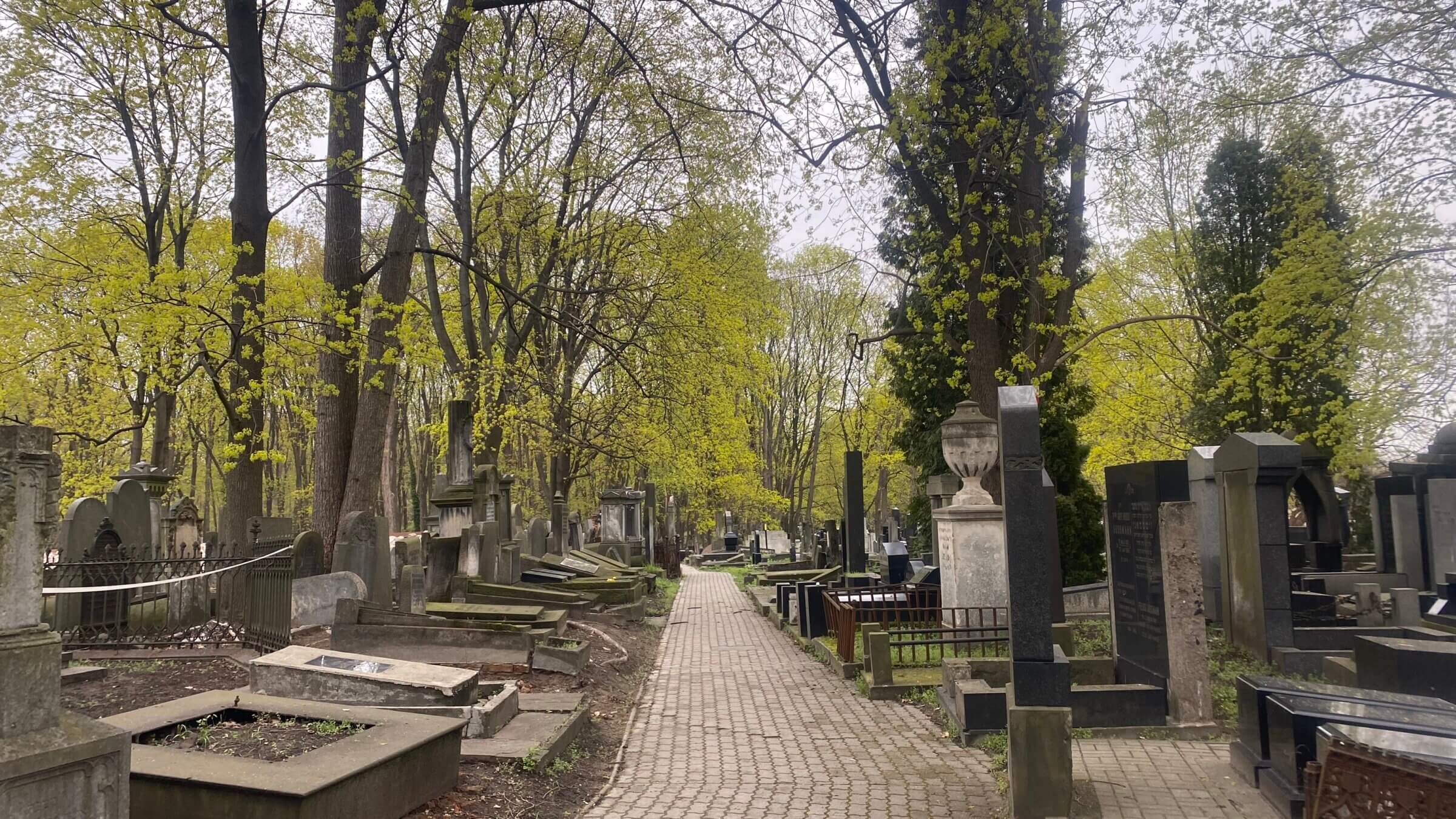 The Jewish Cemetery of Warsaw, April 2022 