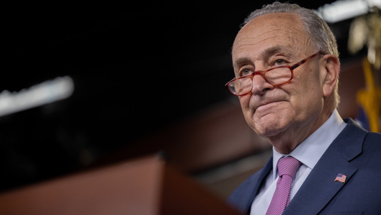 Senate Majority Leader Chuck Schumer speaks during a press conference on legislation to address gas prices, in the Capitol, April 28, 2022. (Nathan Posner/Anadolu Agency via Getty Images)