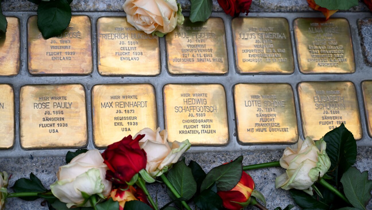 Stumbling stones commemorating artists in Salzburg, Austria.