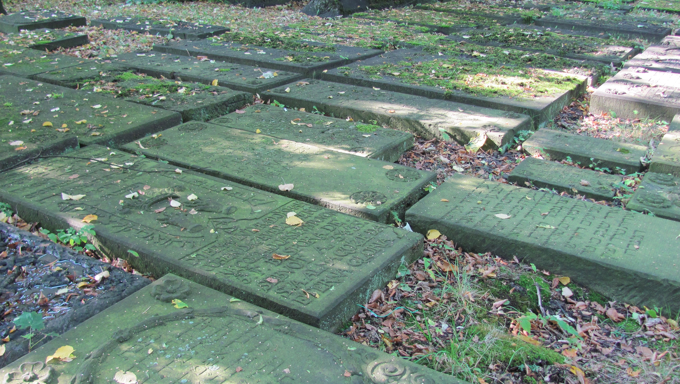 Headstones of Sephardic Jews lie on the ground at the Altona cemetery in Hamburg, Germany, Sep. 9, 2012. (Wkimedia Commons)