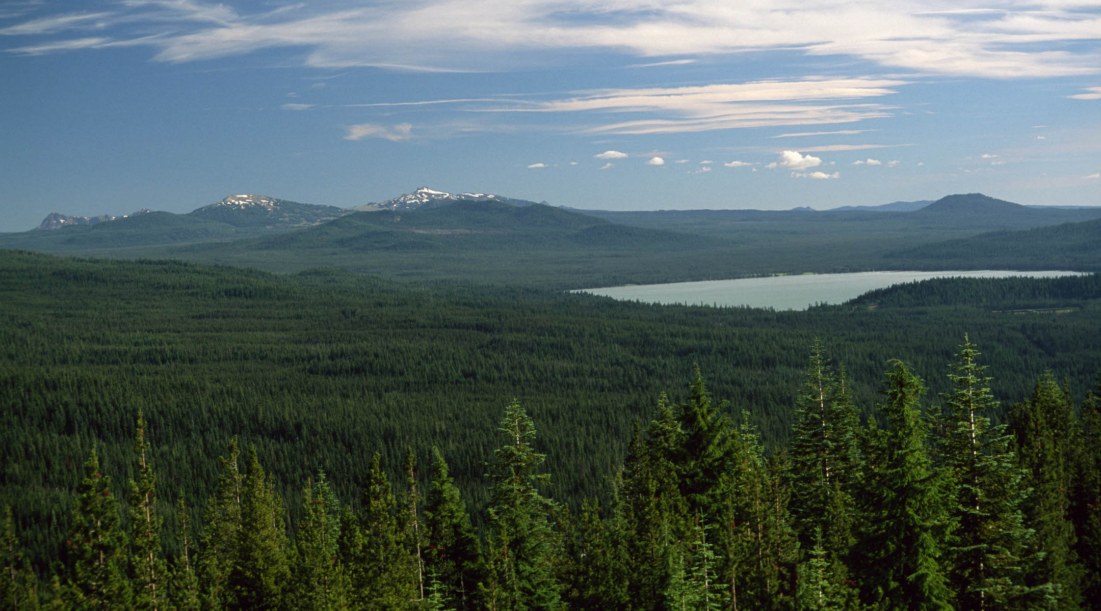 A view of the Umpqua National Forest in Oregon, the home of Swastika Mountain. (Public domain)