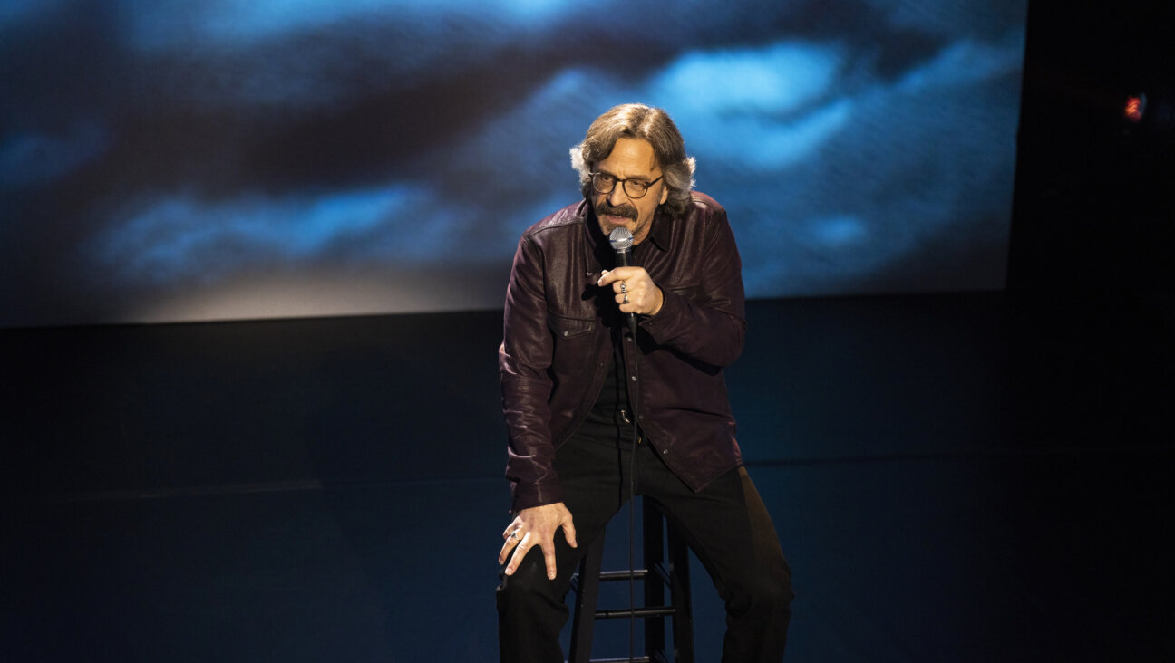 Marc Maron in <i>From Bleak to Dark</i>.