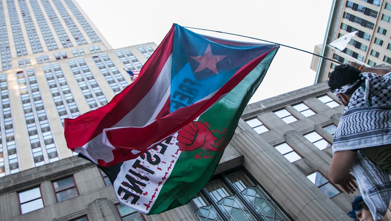 Pro-Palestinian protesters gather during a demonstration on June 15, 2021 in New York City. (Photo by Pablo Monsalve/VIEWpress via Getty Images)