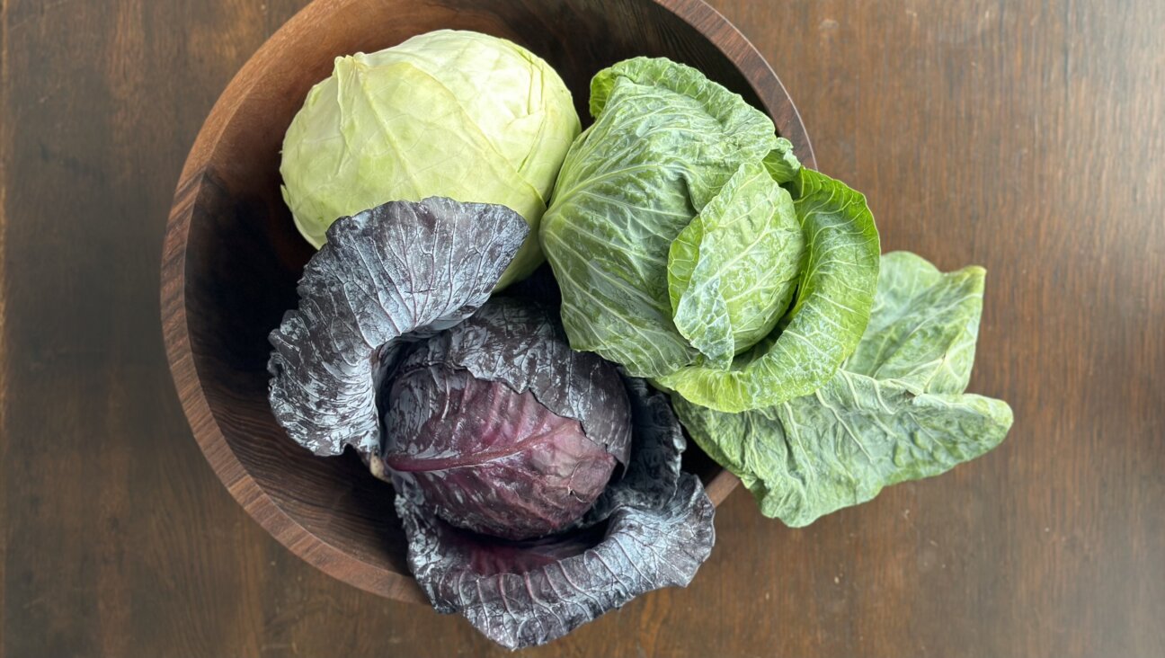 Cabbage is a member of the <i>Brassica</i> family, which includes such vegetables as broccoli, bok choy, kale, collards, turnips, arugula and Brussels sprouts.