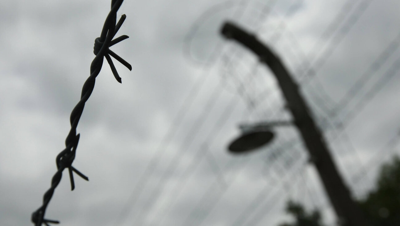 A barbed wire fence stands on the grounds of the former Buchenwald concentration camp on June 4, 2009 near Weimar, Germany. 