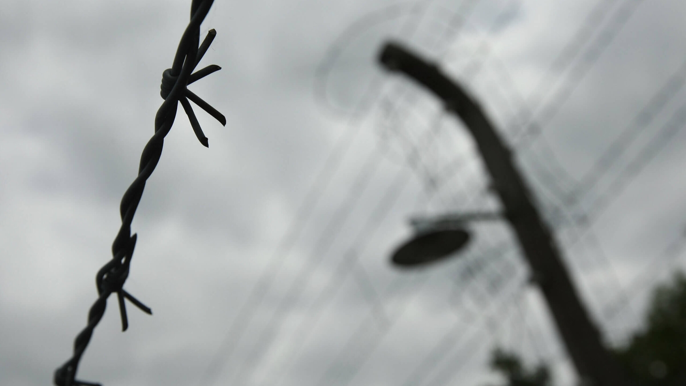 A barbed wire fence stands on the grounds of the former Buchenwald concentration camp on June 4, 2009 near Weimar, Germany. 