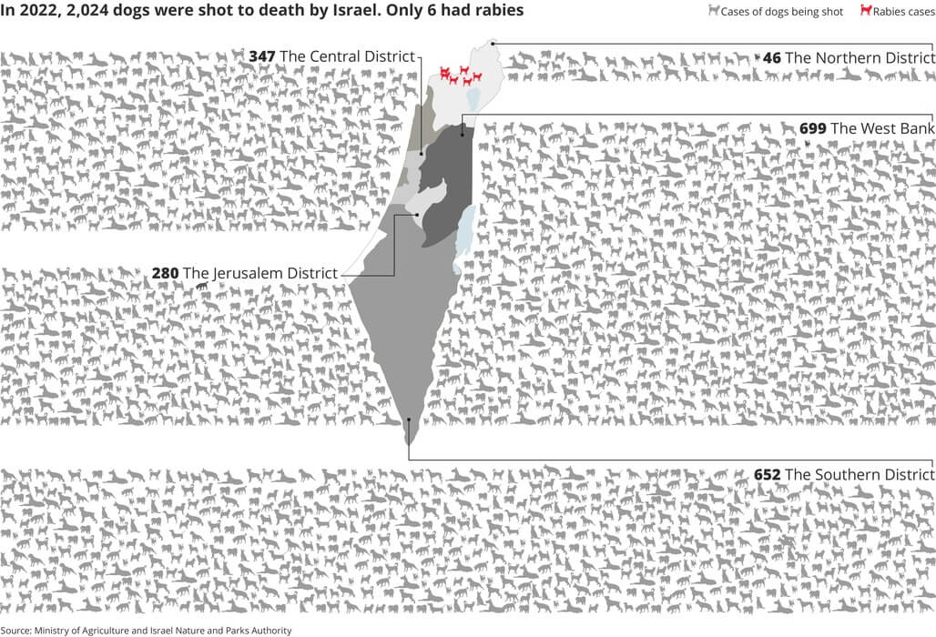 In 2022, 2,024 dogs were shot to death in Israel. Only six had rabies.