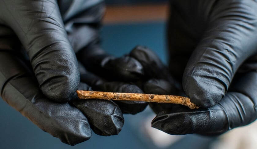 One of the seven miniature bone flutes found in Hula Valley from over 12,000 years ago.