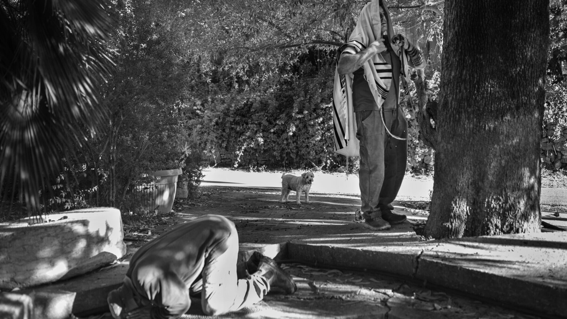 Eitan, at right, faces Jerusalem while  his work-mate, Amjad, bows toward Mecca, as they recite morning prayers before starting work cutting down trees in the Jerusalem forest. 