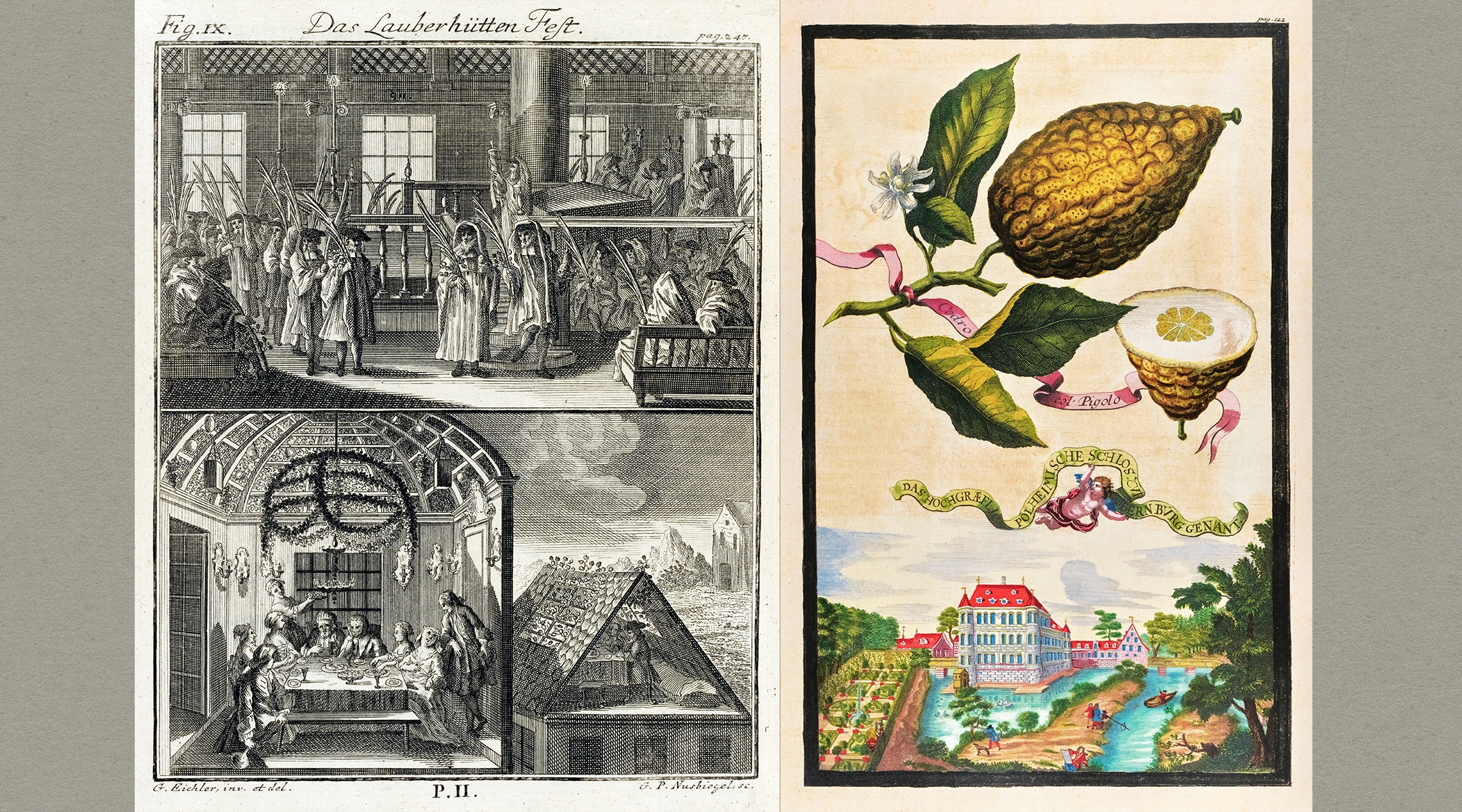 Art and materials on display at “Etrog: The Wandering Fruit” include, from left: Johann Bodenschatz’s “Kirchliche Verfassung der heutigen Juden,” Erlangen, 1748, showing various Sukkot scenes, and “Nürnbergische Hesperides, oder Gründliche Beschreibung der edlen Citronat, Citronen, und Pomerantzen-Früchte,” a fanciful depiction of the fruit by Johann Christoph Volkamer, Nuremberg, 1708-14. (Courtesy the Bernard Heller Museum of Judaica)