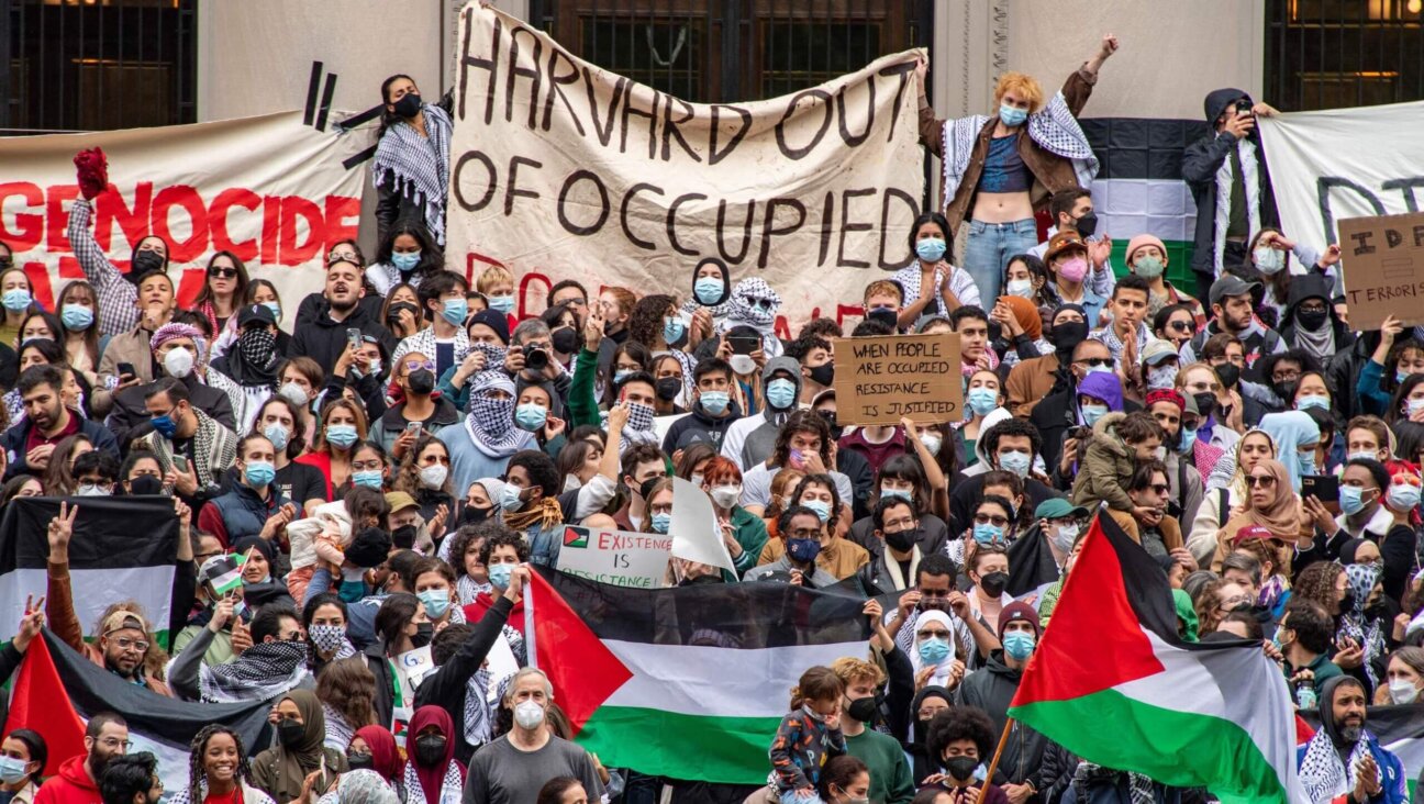 Supporters of Palestinians gathered at Harvard University to show their support for Gaza at a rally in Cambridge, Massachusetts, earlier this month.