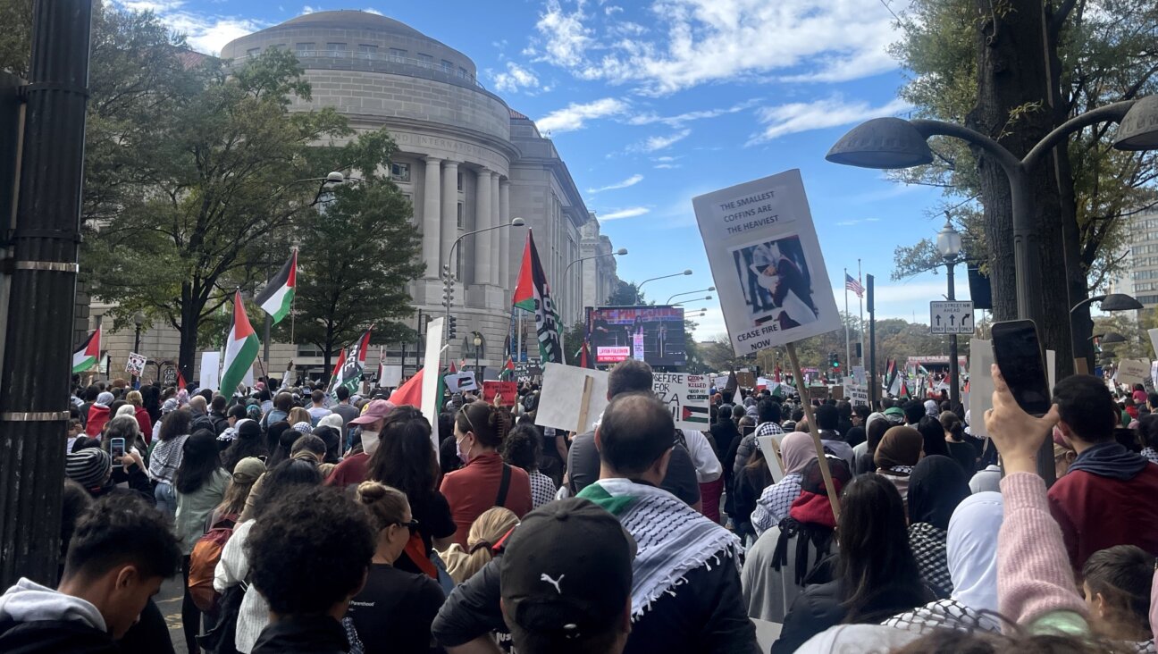 Thousands of protesters attended a pro-Palestinian demonstration near the White House, Nov. 4, 2023. (Ron Kampeas)