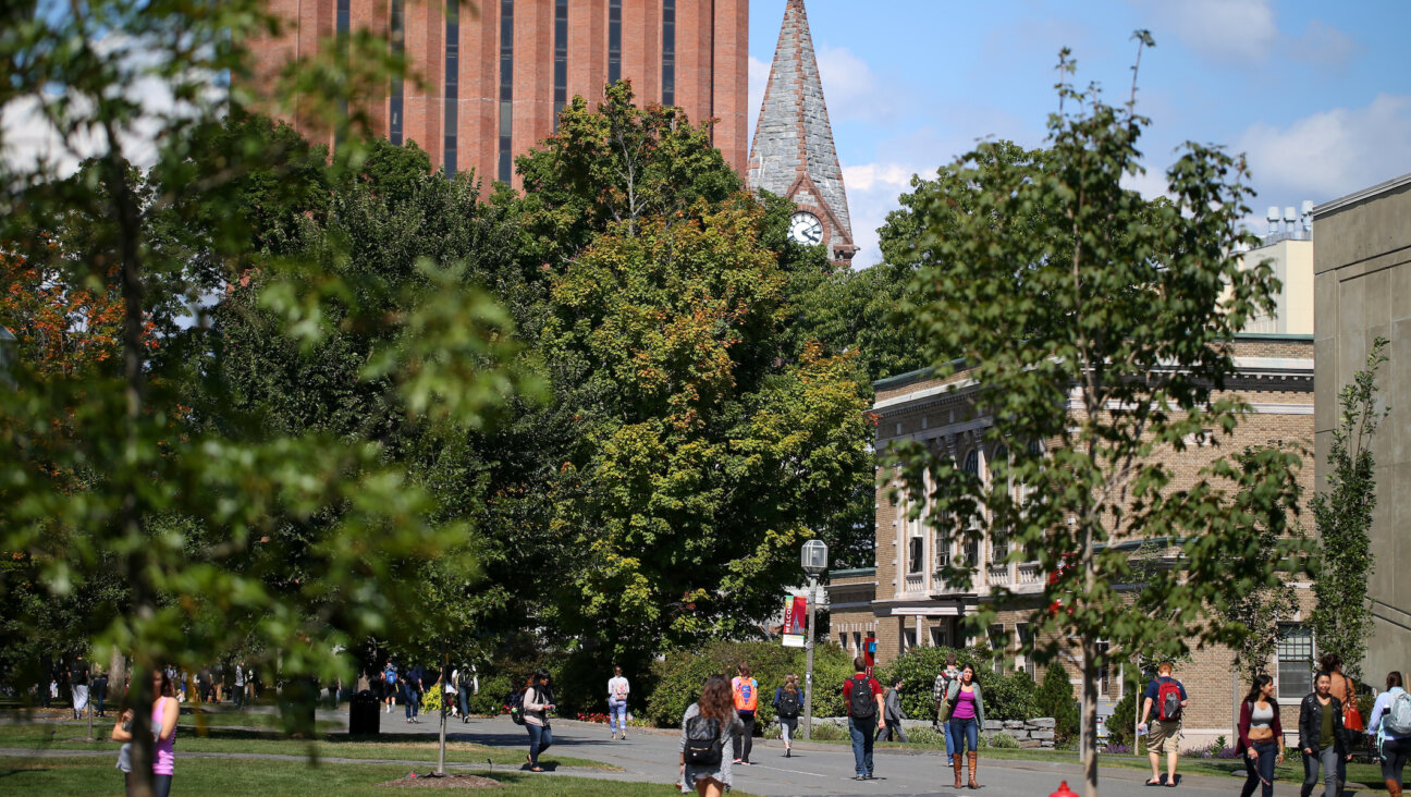 UMass Amherst students head across campus in 2014. (Jonathan Wiggs/The Boston Globe via Getty Images)