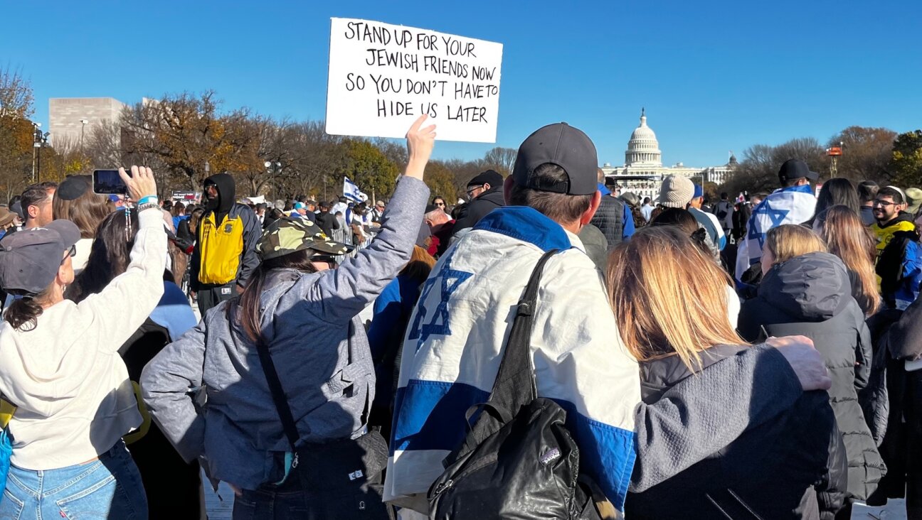 Rally-goers at the March for Israel wrapped themselves in Israeli flags, Nov. 14, 2023. (JTA Photo)