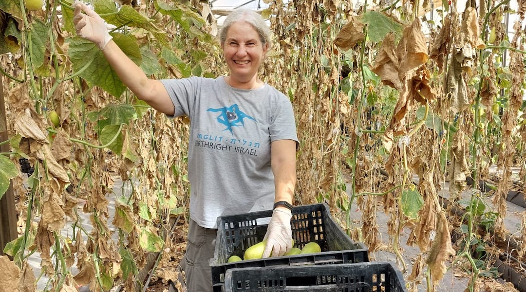 Sara Goldsmith, who lives on a kibbutz in Israel’s north. volunteering on a farm in southern Israel. (Courtesy of Sara Goldsmith)