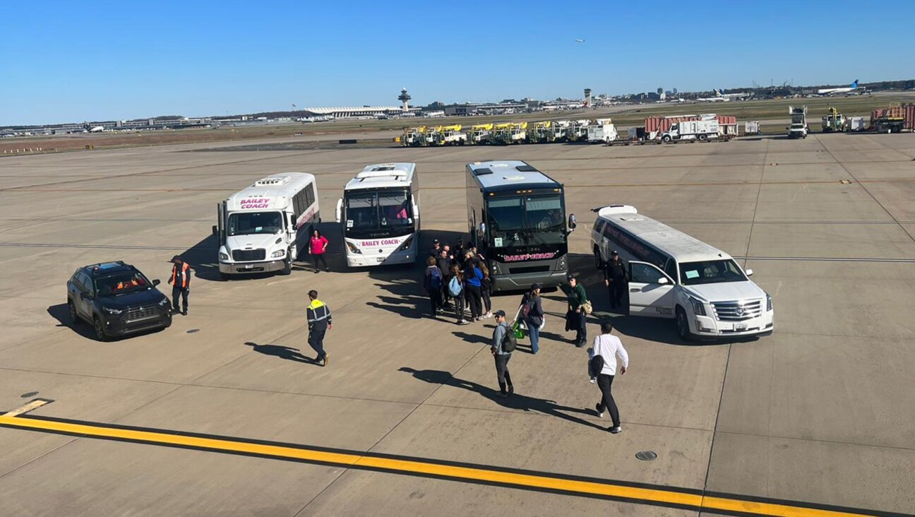 Makeshift buses, including a rented limousine, arrive to replace the ones hired by the Jewish Federation of Metropolitan Detroit, in this picture taken from a plane chartered by the federation to the March for Israel, Nov. 14, 2023. (Courtesy of Jennie Levy)