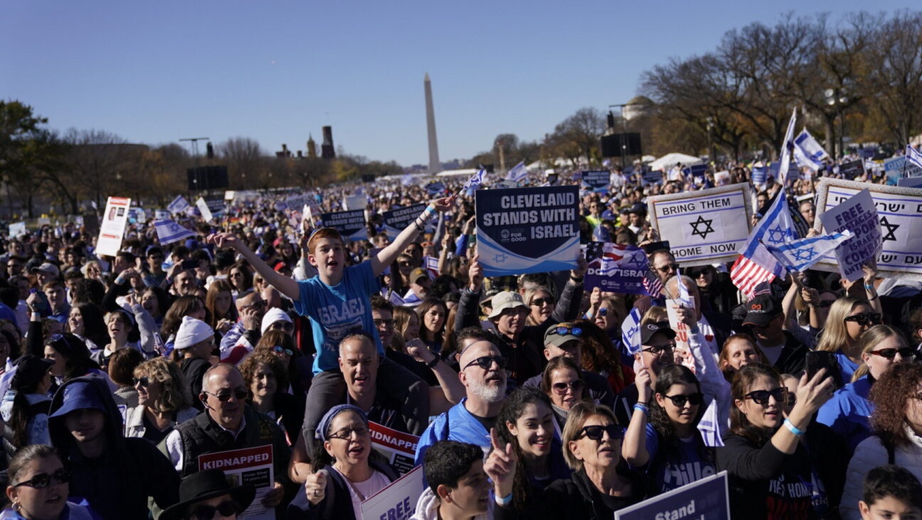 Demonstrators in support of Israel gather to denounce antisemitism and call for the release of Israeli hostages, on the National Mall in Washington, DC, Nov. 14, 2023. (Stefani Reynolds / AFP via Getty Images)