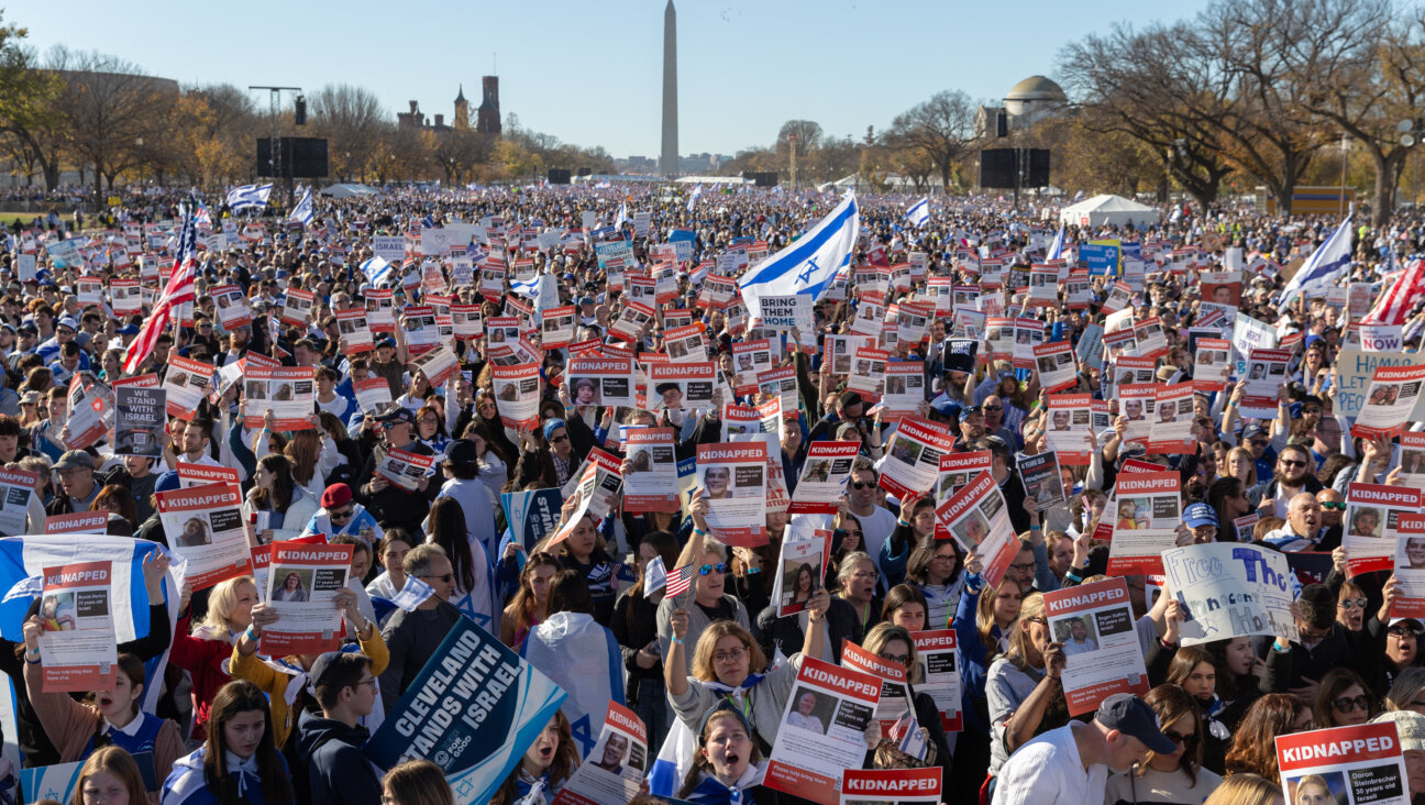 The crowd at the March For Israel on the National Mall in Washington, D.C. on November 14, 2023.