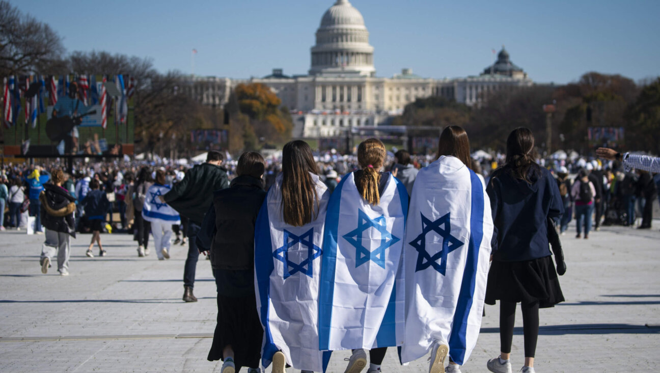 Demonstrators wear Israeli flags during a "March for Israel" rally on the National Mall in Washington, DC, US, on Tuesday, Nov. 14, 2023.