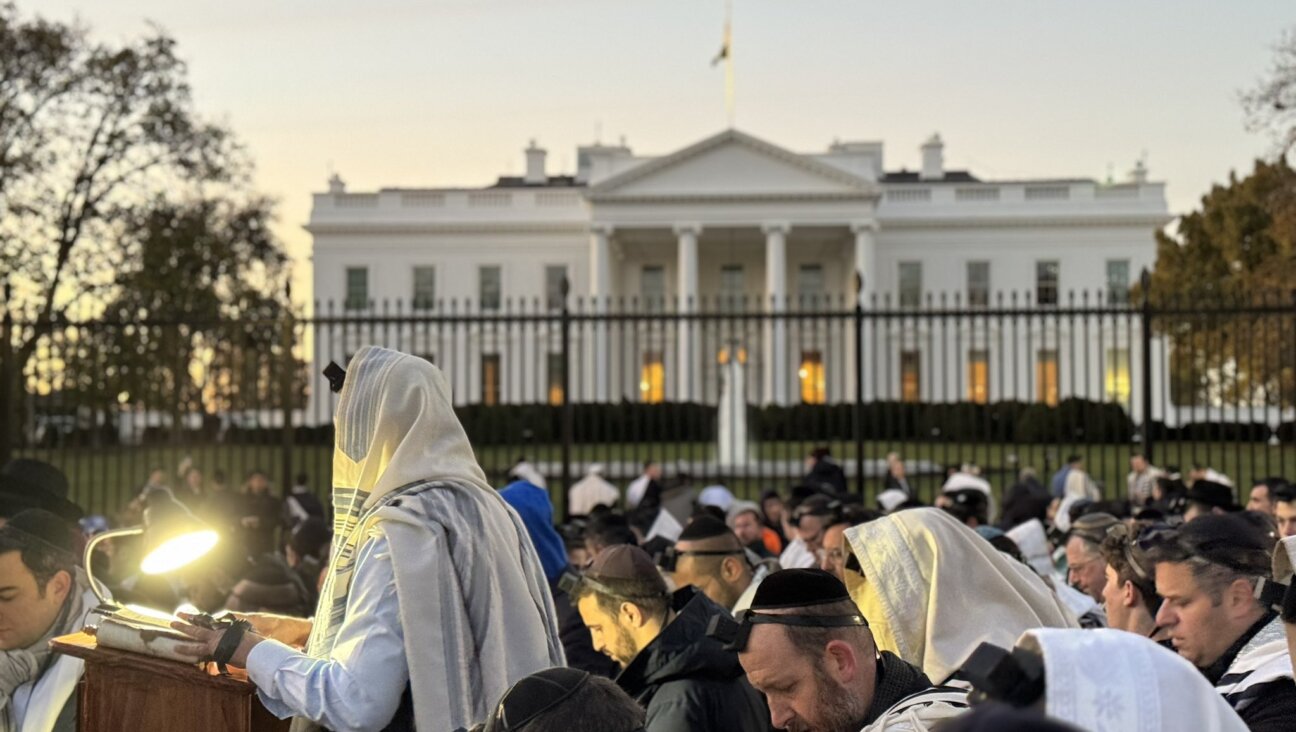 Jews pray in front of the White House as crowds arrive for the March for Israel, Nov. 14, 2023.