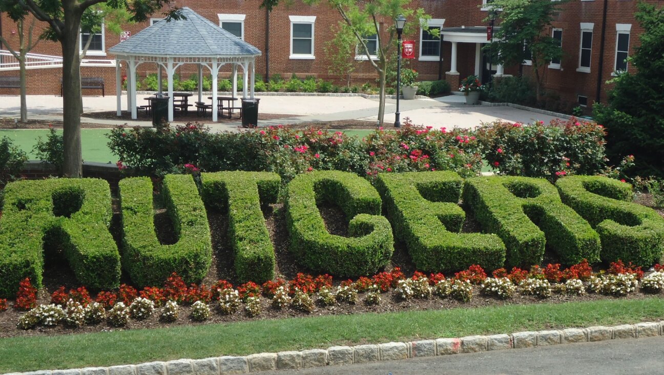 A hedge outside Rutgers University in New Brunswick, New Jersey, July 30, 2016. (Tomwsulcer via Creative Commons)