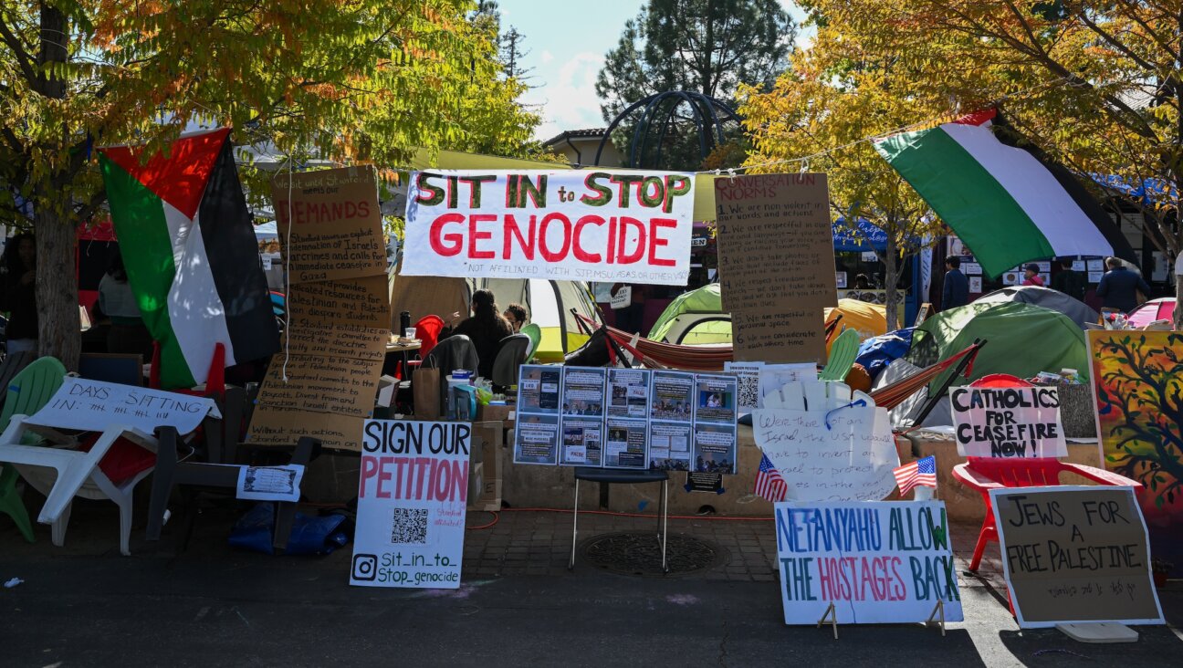 Stanford students camp out in front of the university’s White Plaza to push the school to adopt more aggressive stances against Israel, Stanford, California, November 7, 2023. (Tayfun Cokun/Anadolu via Getty Images)