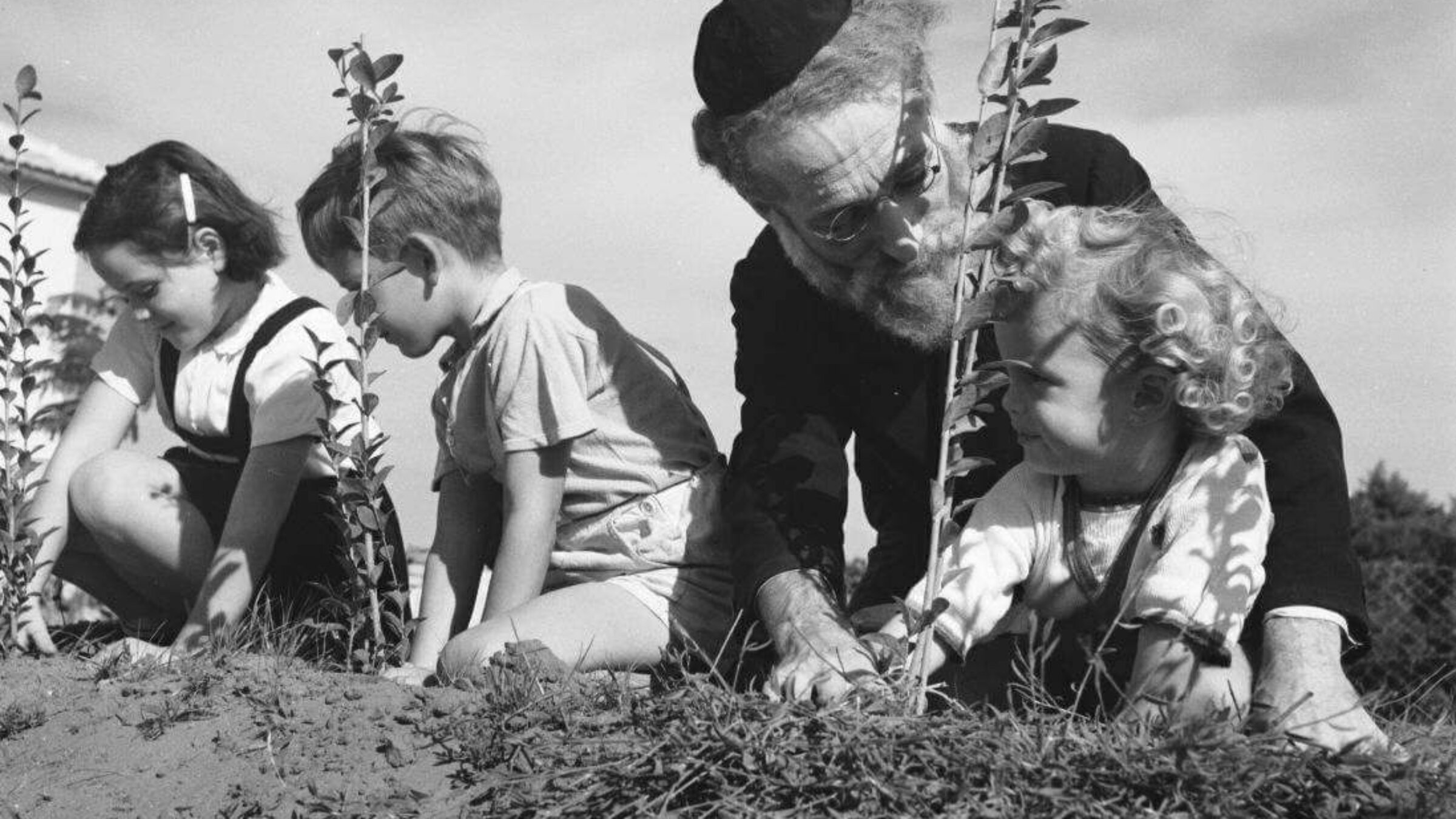 קינדער פֿאַרפֿלאַנצן ביימעלעך אין ארץ־ישׂראל, חמישה־עשׂר בשבֿט, 1945.