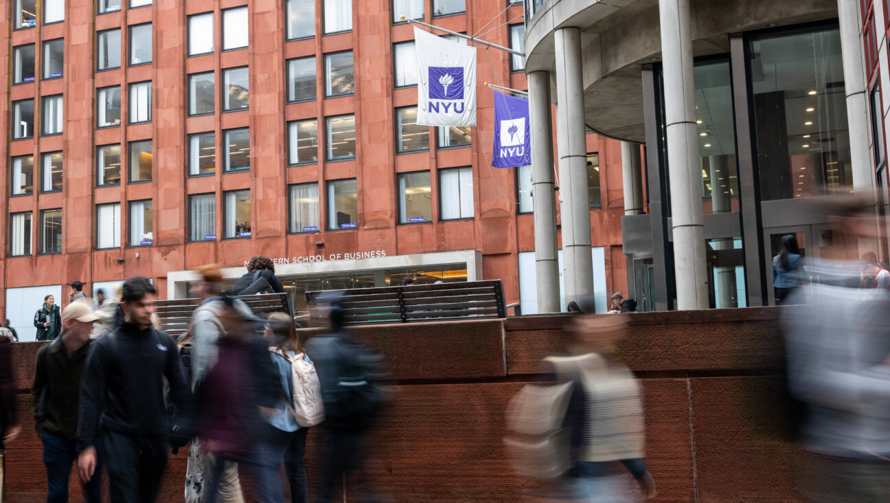 New York University.