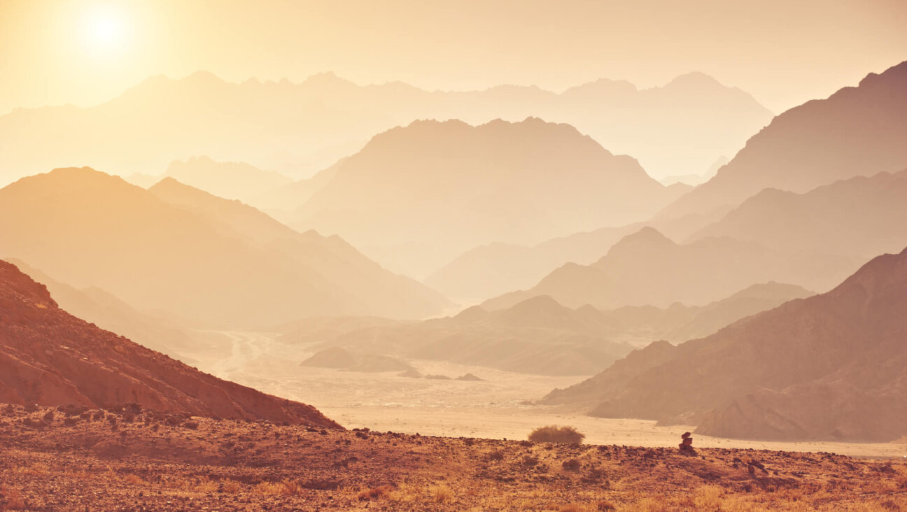 A wadi in the Sinai desert, Egypt. 