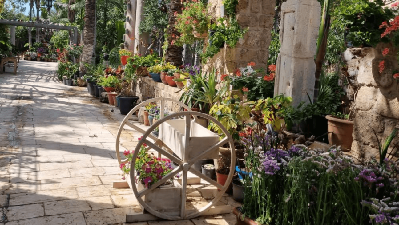 Filled with native and imported plants, Jawdat Khoudary’s 100,000-square-foot garden in Gaza City before the war.