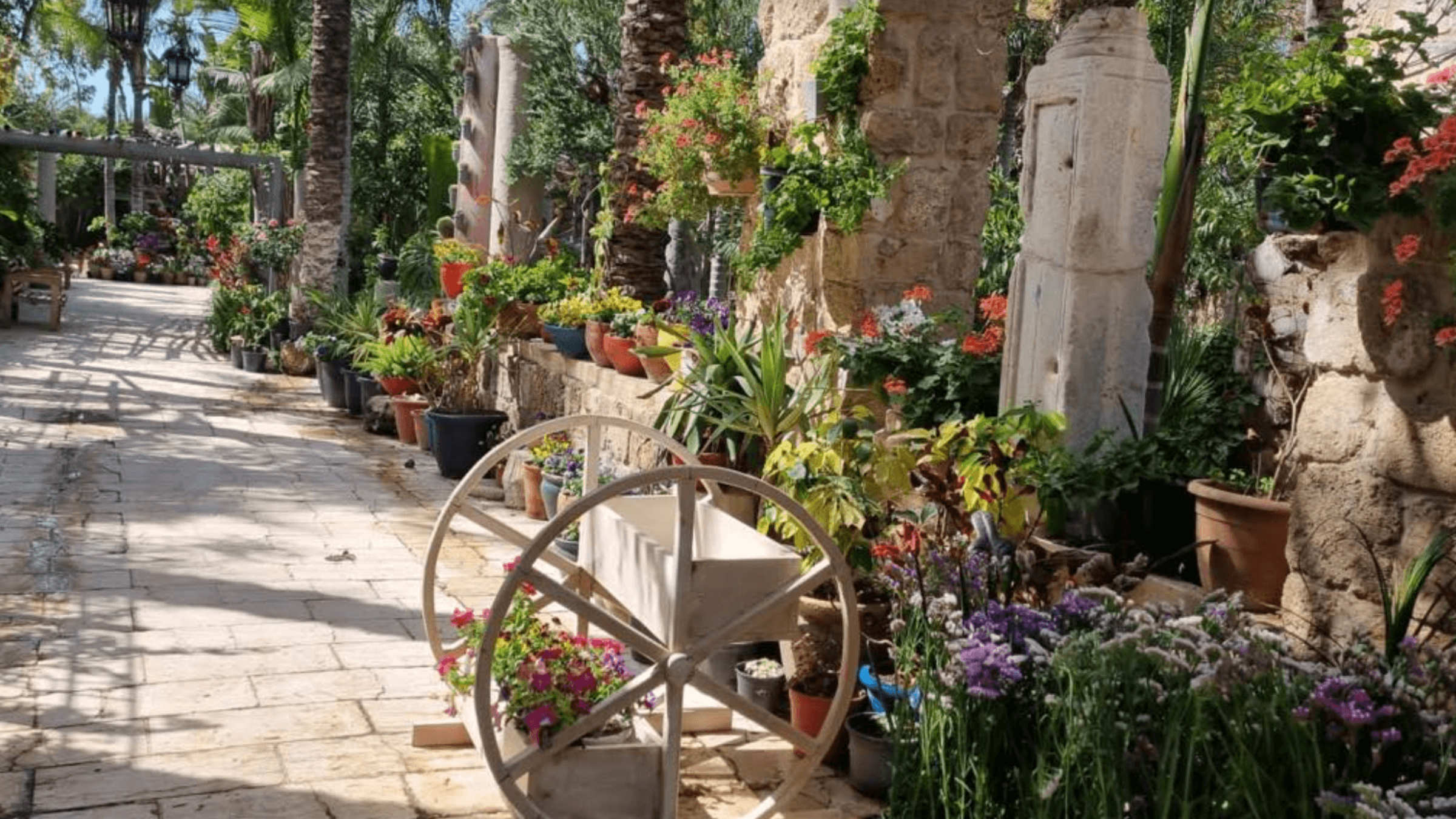 Filled with native and imported plants, Jawdat Khoudary’s 100,000-square-foot garden in Gaza City before the war.