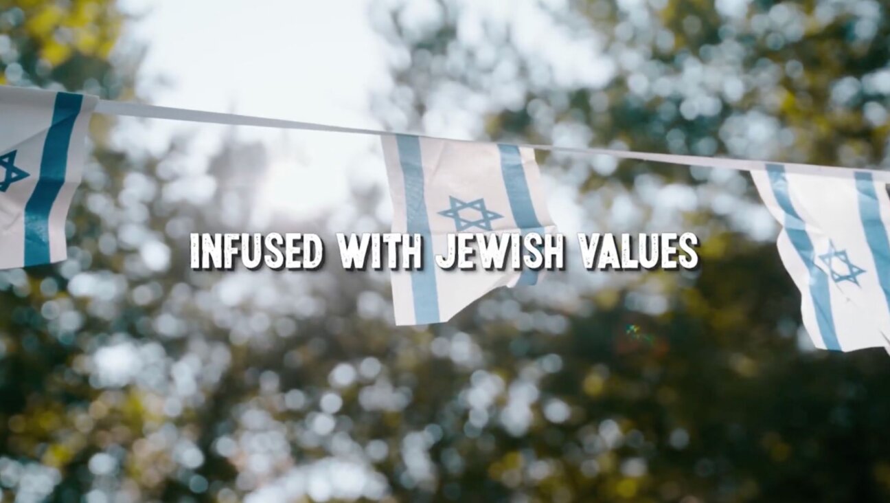 Camp Twelve Trails features Israeli flags in its promotional video. (Screenshot)