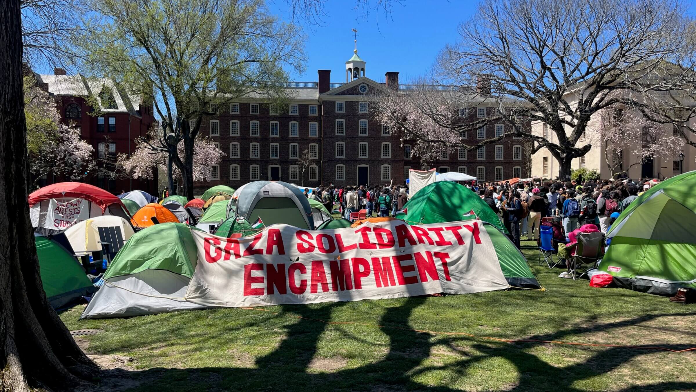 The encampment on Brown's main green.