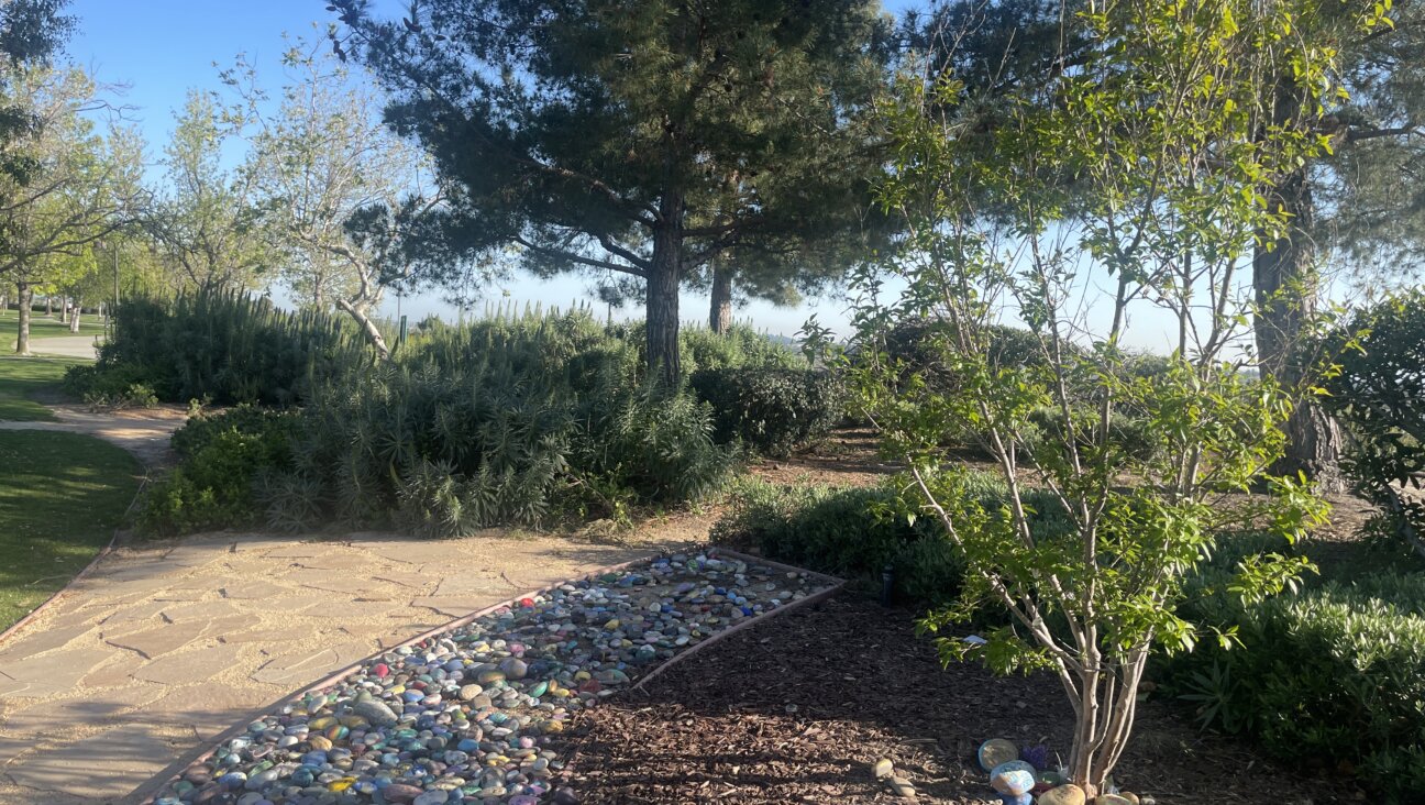 Painted rocks decorate a memorial for Blaze Bernstein at Borrego Park in Lake Forest, California. On June 20, Samuel Woodward described killing and burying Bernstein in the park.