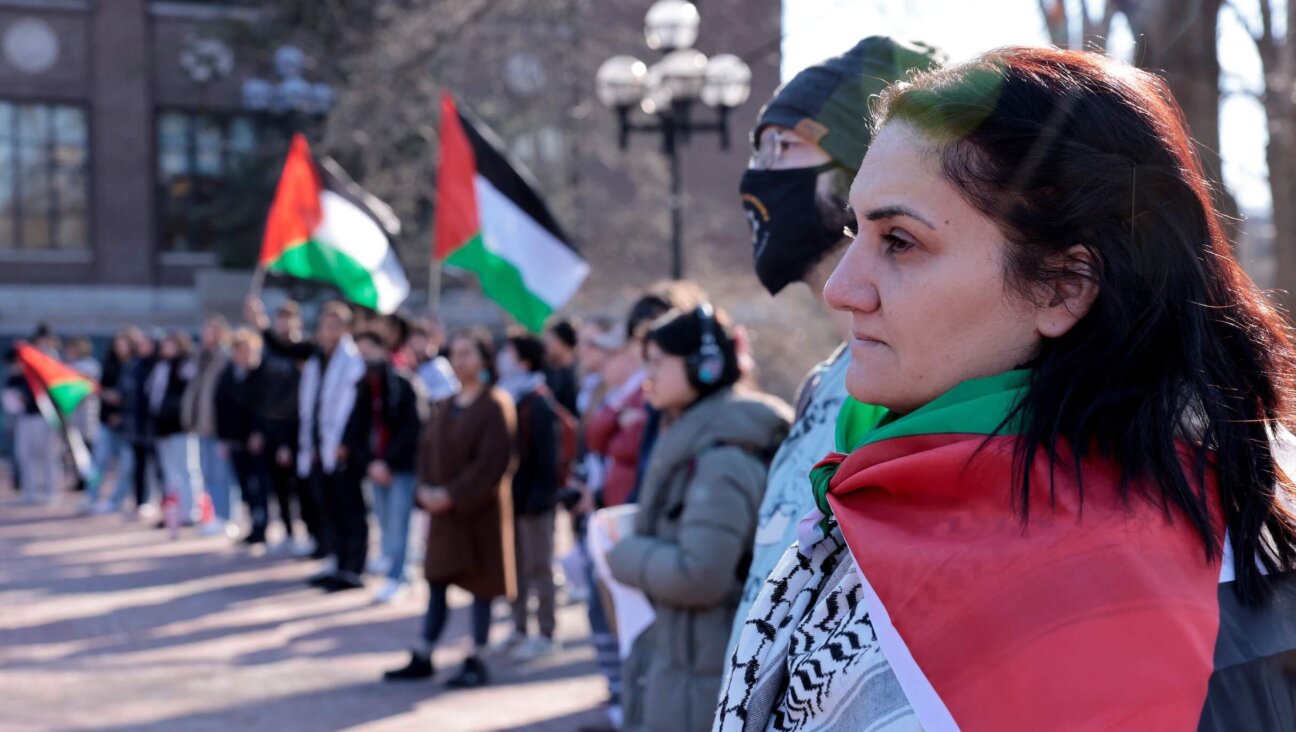 Protesters call for a ceasefire in the Israel-Hamas war.