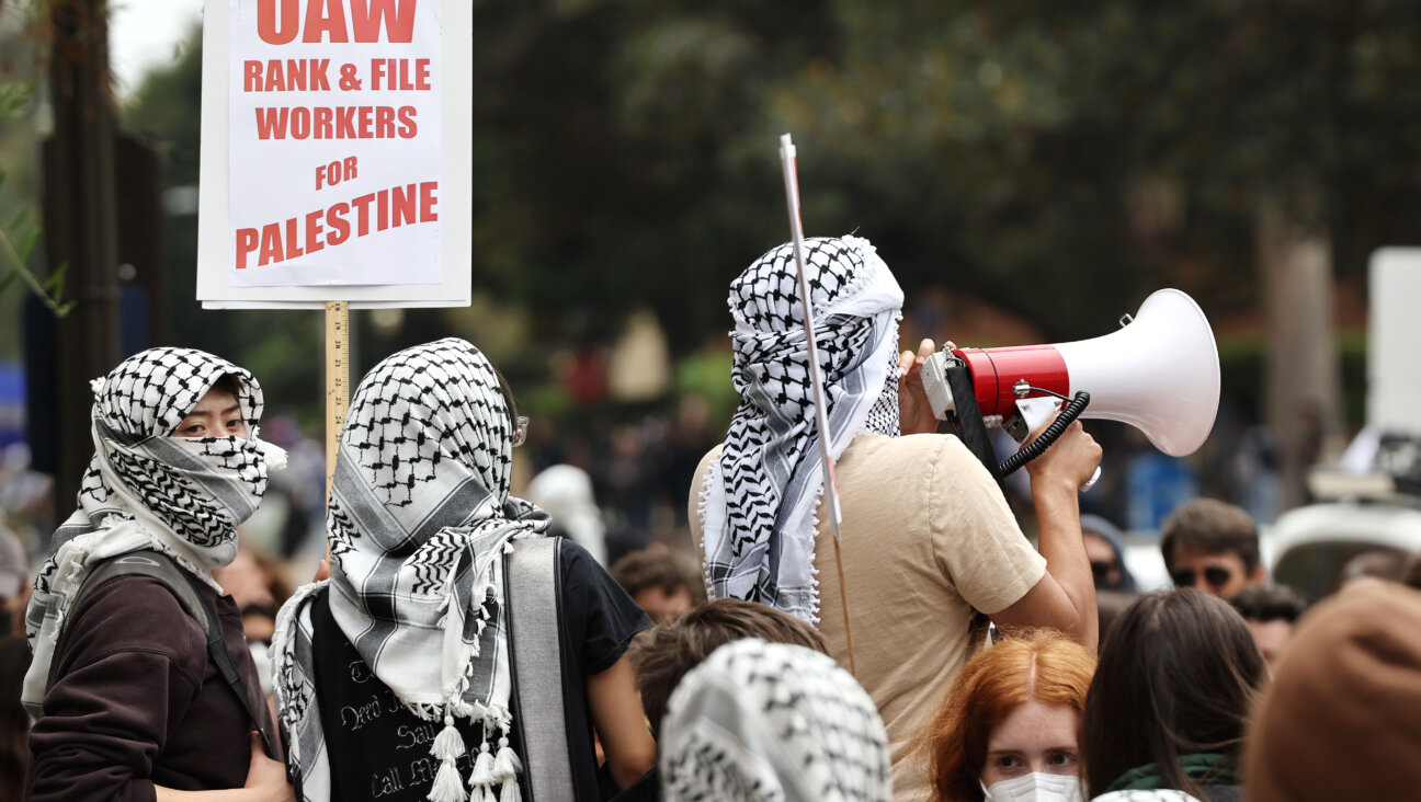 Members of United Auto Workers at a pro-Palestinian protest at the University of California, Los Angeles on May 23, 2024. (Photo by Mario Tama/Getty Images)