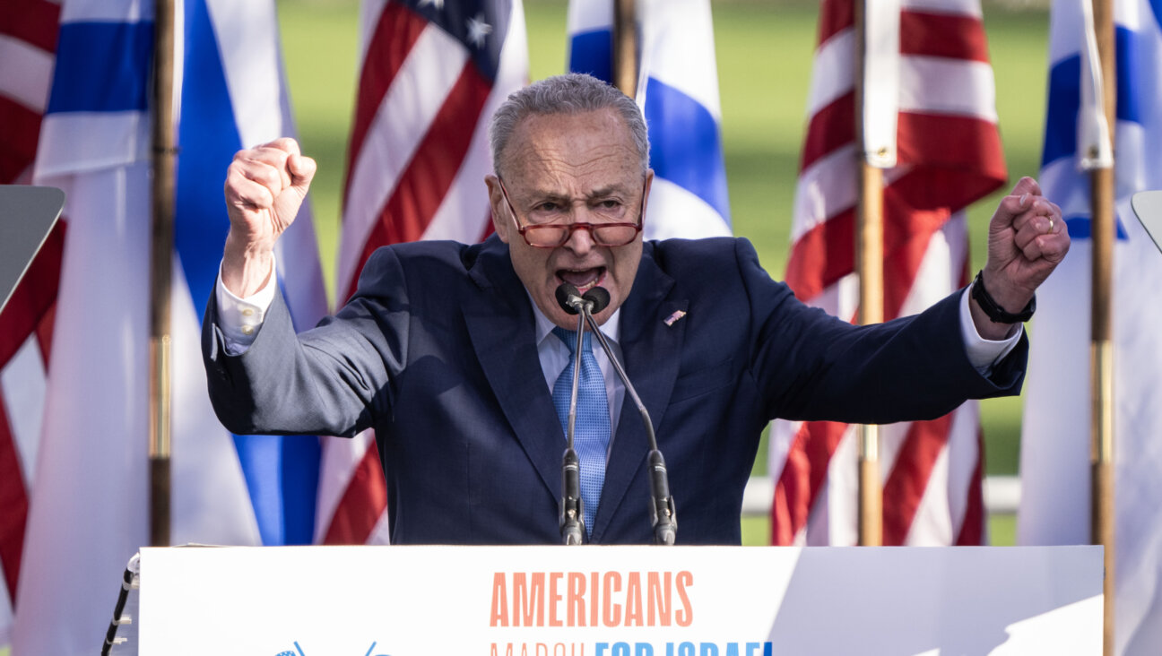 Senate Majority Leader Chuck Schumer during the March for Israel rally on the National Mall  on Nov. 14, 2023 