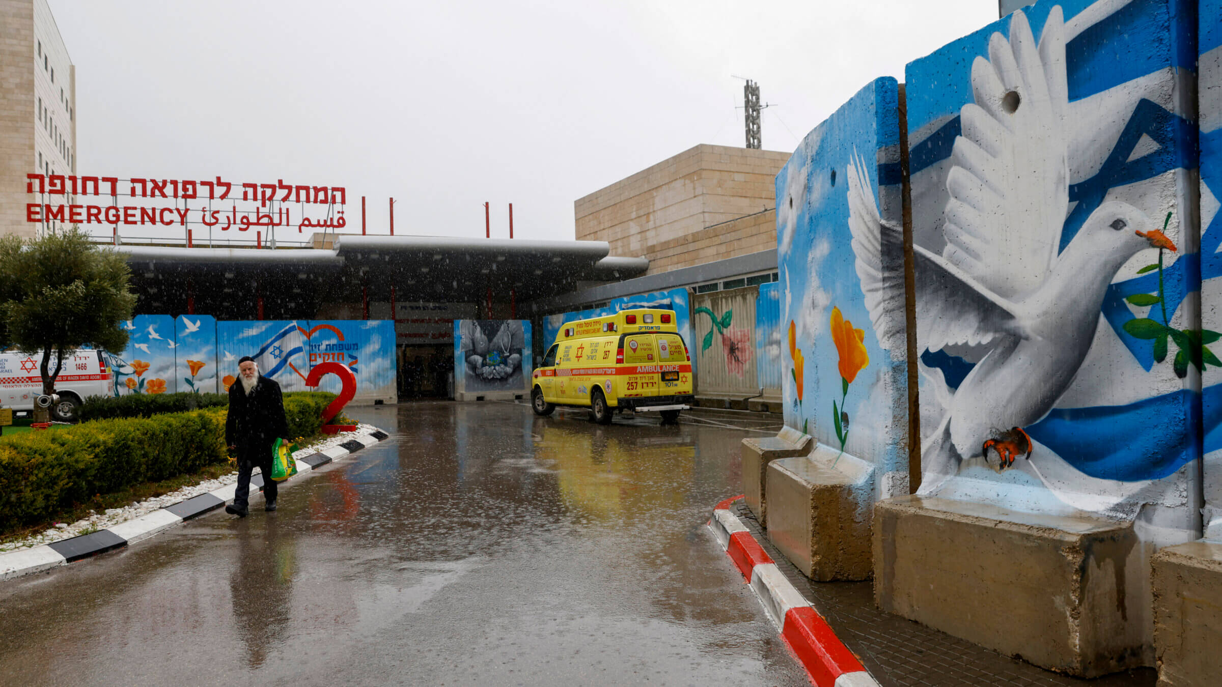 A man walks past murals outside the Ziv Hospital in the northern Israeli city of Safed in January. Jewish federations across North America have raised hundreds of millions of dollars to help Israel recover from the Oct. 7 terrorist attacks, but many of those dollars remain unspent.