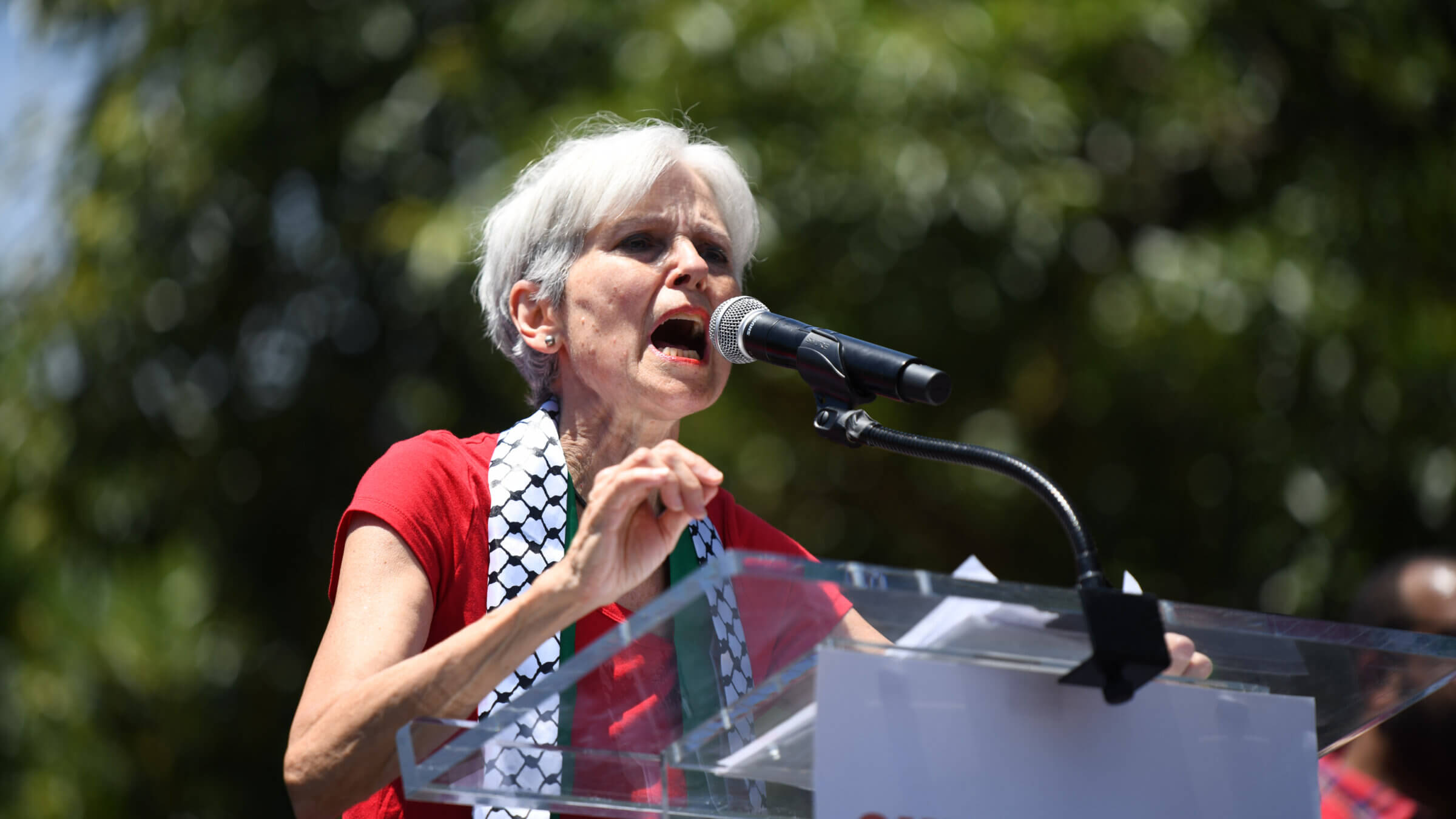 Green Party presidential candidate Jill Stein speaks at a pro-Palestinian protest in front of the White House June 8.