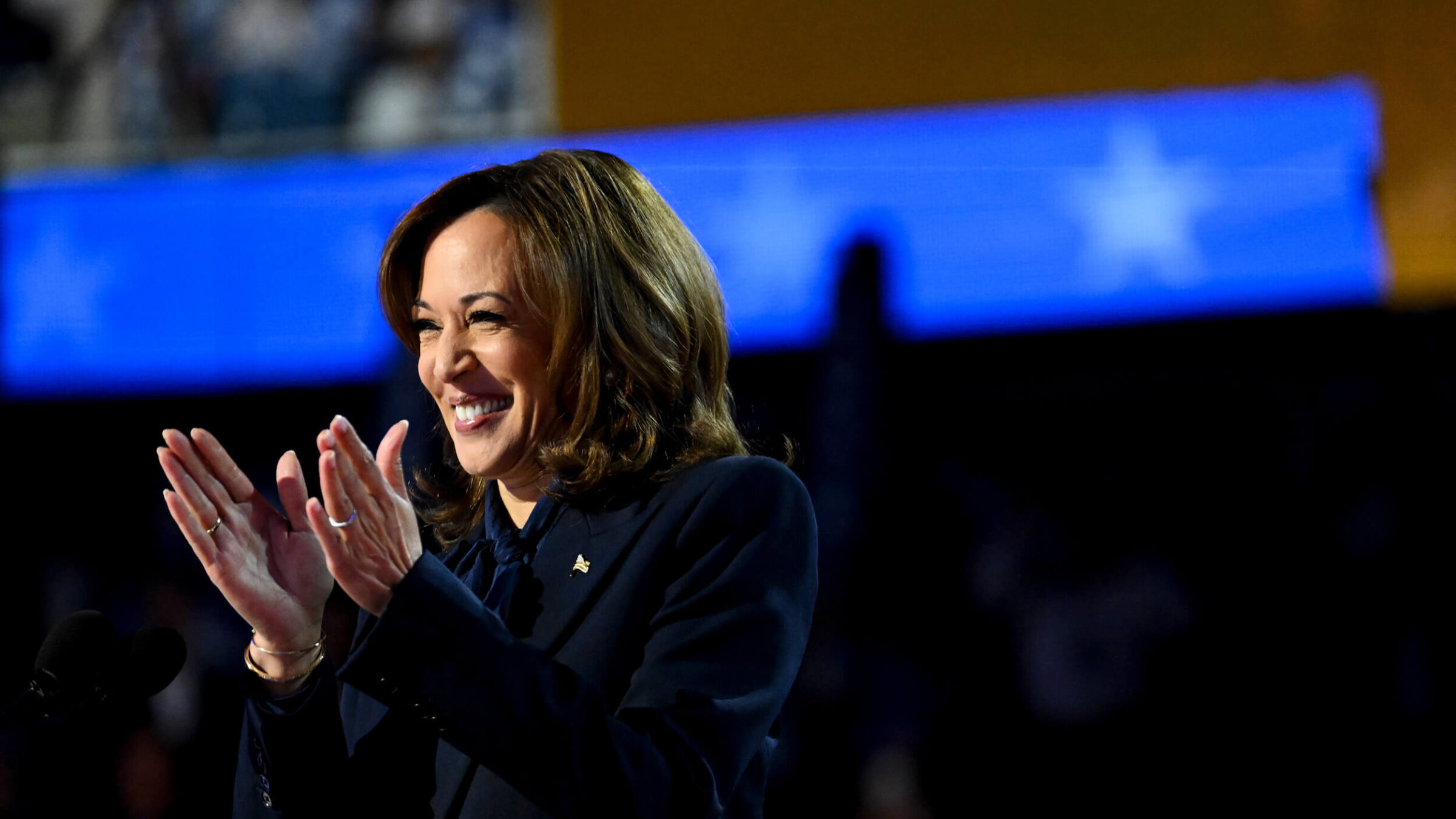 Vice President Kamala Harris speaks during the Democratic National Convention.