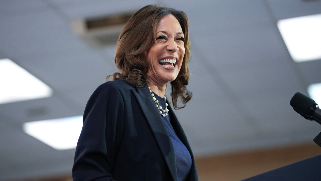 Democratic presidential candidate Kamala Harris speaks at a campaign rally at United Auto Workers Local 900 Aug. 8 in Wayne, Michigan.