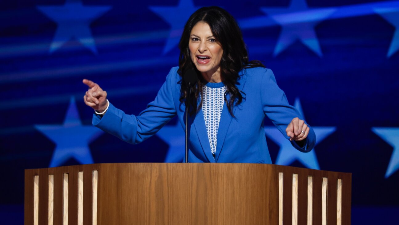 Michigan Attorney General Dana Nessel speaks on stage during the third day of the Democratic National Convention at the United Center, Chicago, Aug. 21, 2024. (Chip Somodevilla/Getty Images)