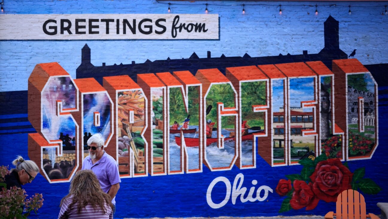 A mural is displayed in an alley in downtown Springfield, Ohio, Sept. 16, 2024. (Luke Sharrett/Getty Images)