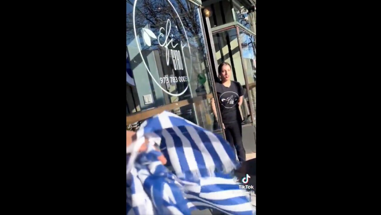 TikTok user Amber Matthews (not pictured) accosted employees at Efi’s Gyro in Montclair, New Jersey, over Greek flags she thought were Israeli flags. (Screenshot from X)