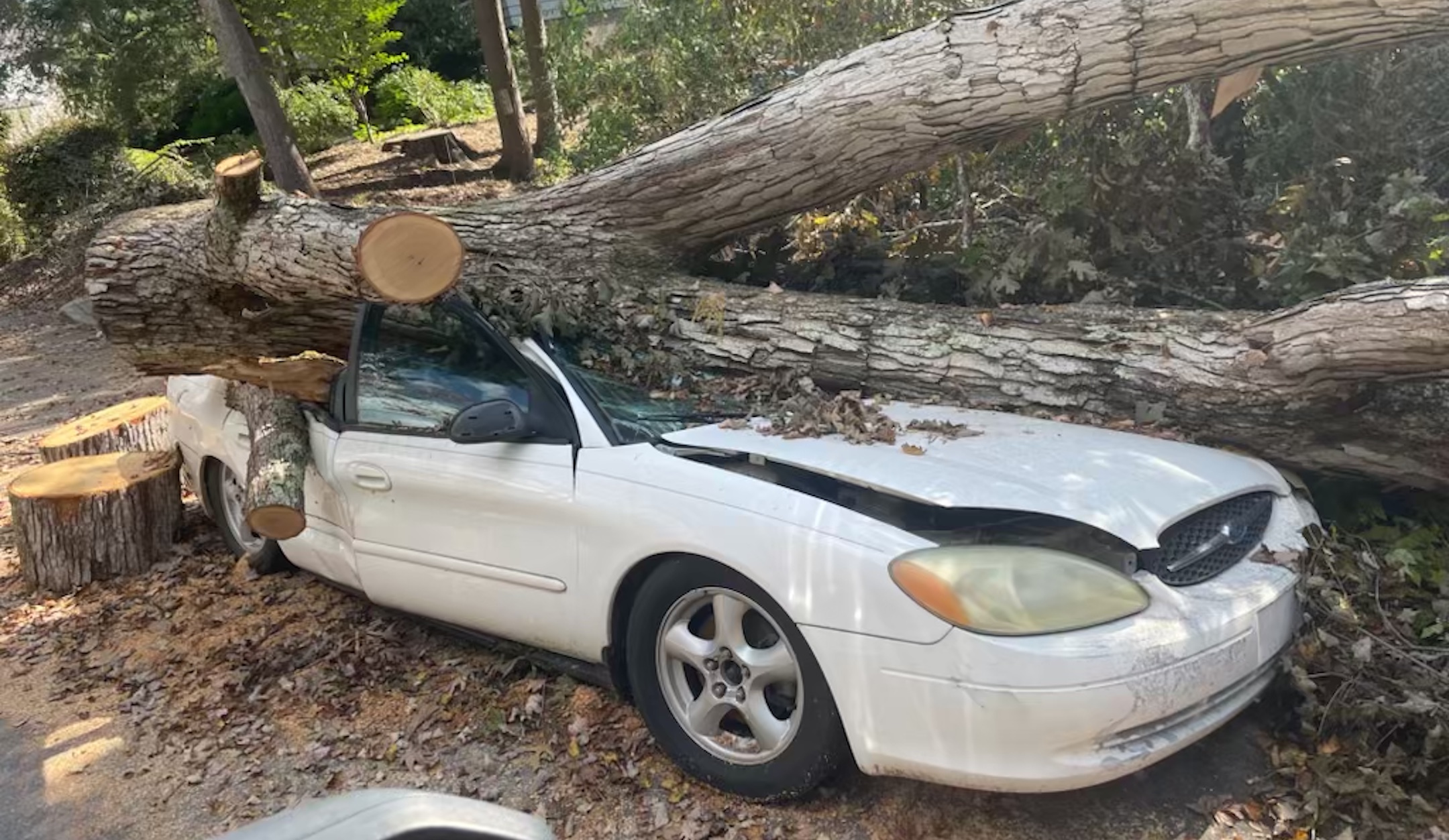 Cars and houses in Asheville, North Carolina, had trees fall on them during Hurricane Helene in September 2024. (Joanie Terrizzi)