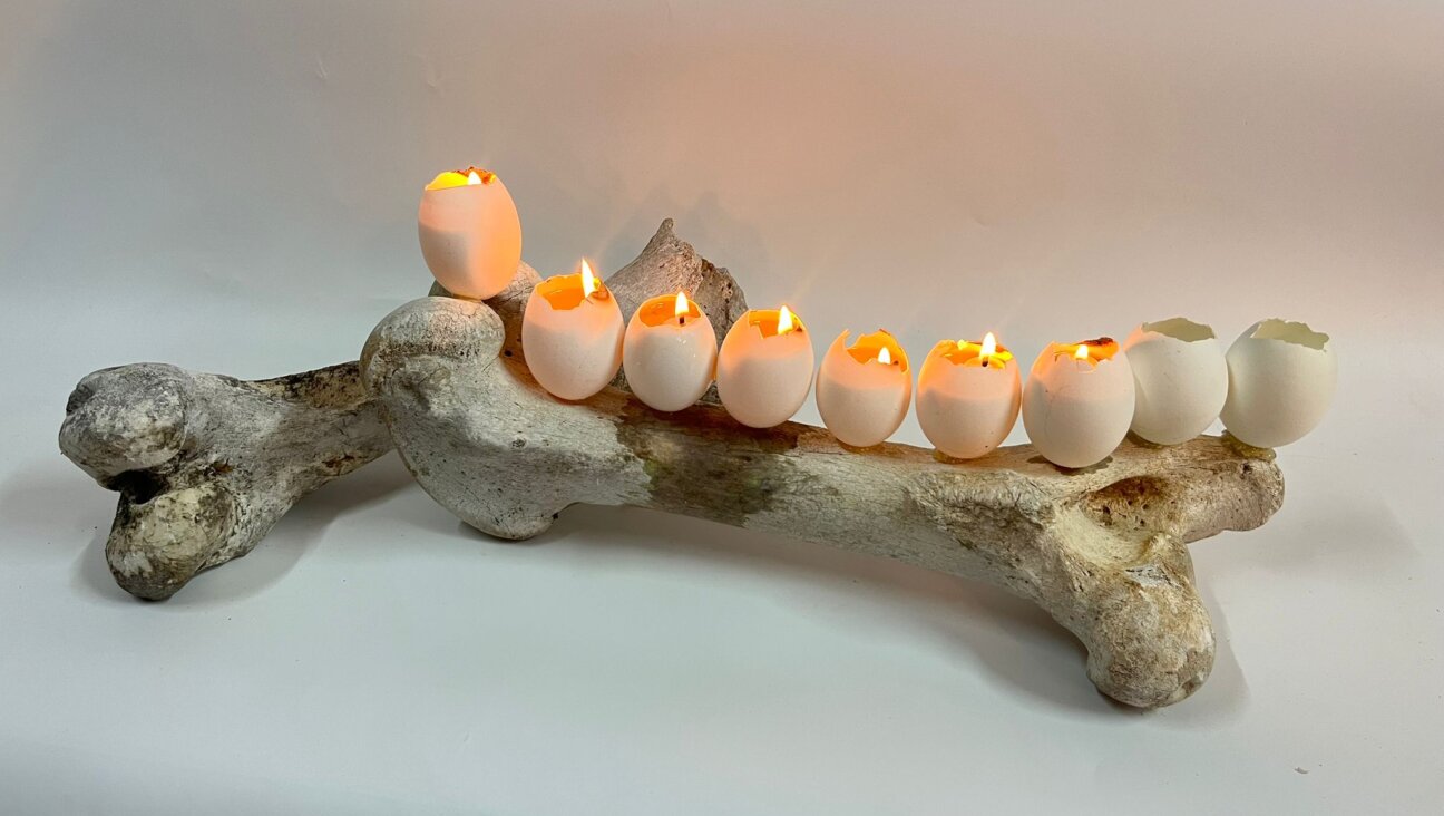 Jeremy Langford made this menorah was made from a bone he found near his studio near Israel's Ella Valley.