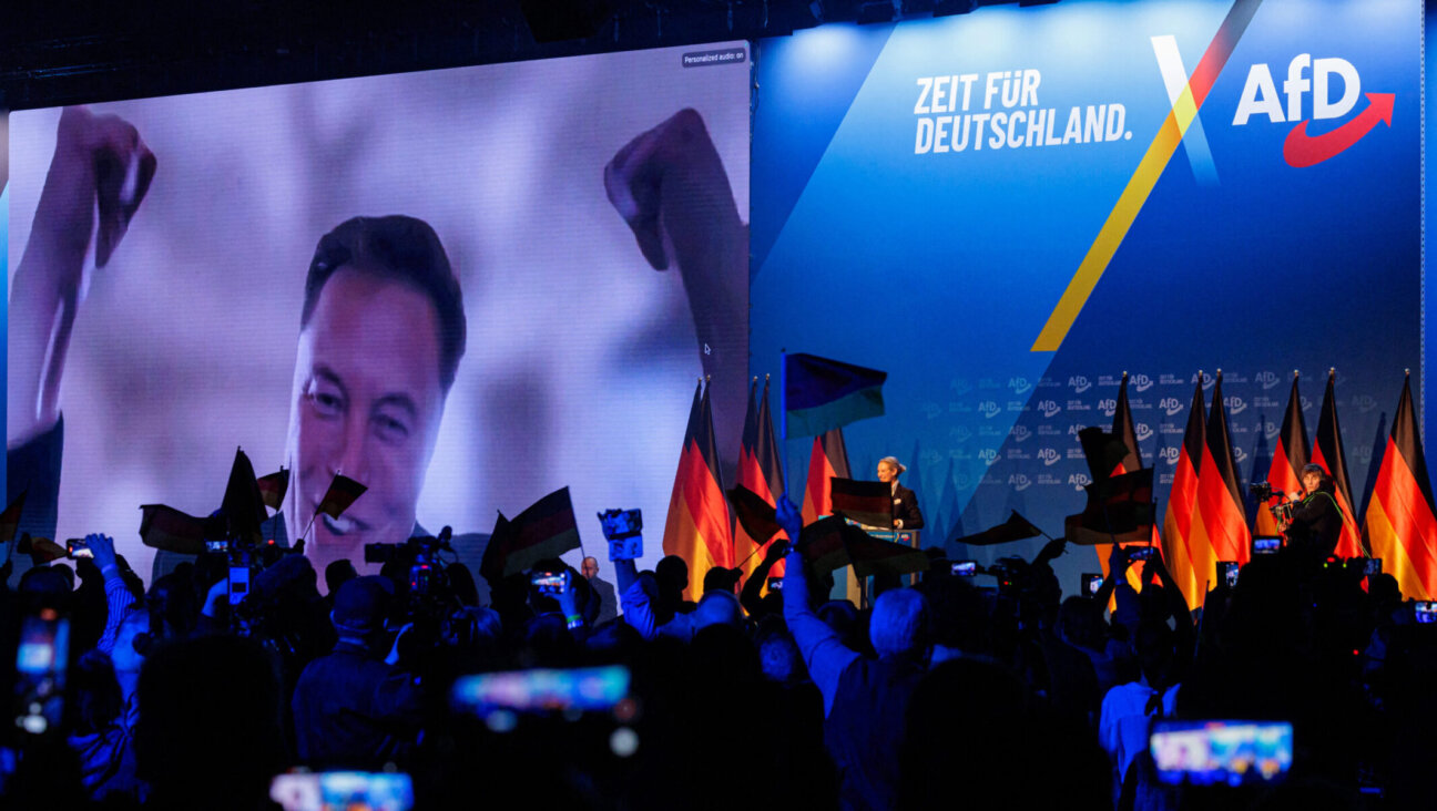 Elon Musk is seen on a large screen as Alice Weidel, co-leader of Germany’s far-right Alternative for Germany (AfD) party, addresses an election campaign rally in Halle, Germany, Jan. 25, 2025. (AFP via Getty Images)