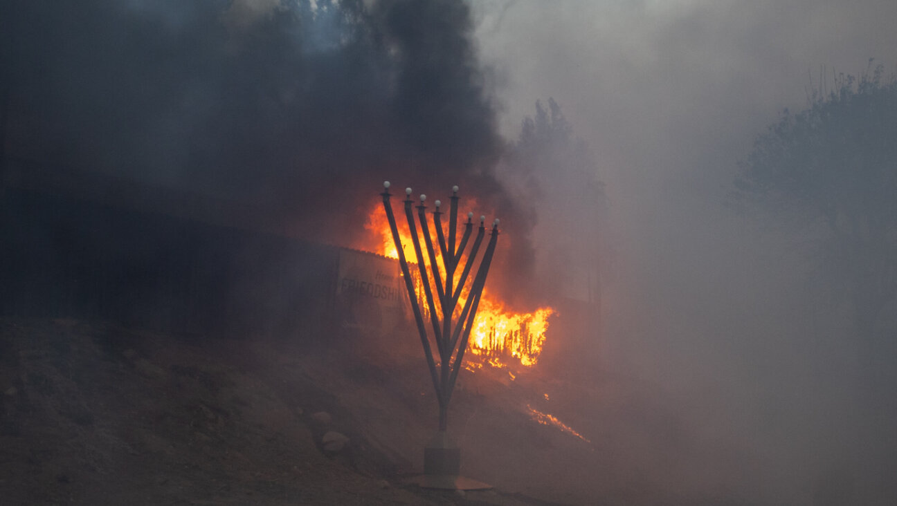 Flames from the Palisades Fire burn in front of the Jewish Temple Chabad of Pacific Palisades on Jan. 7. 