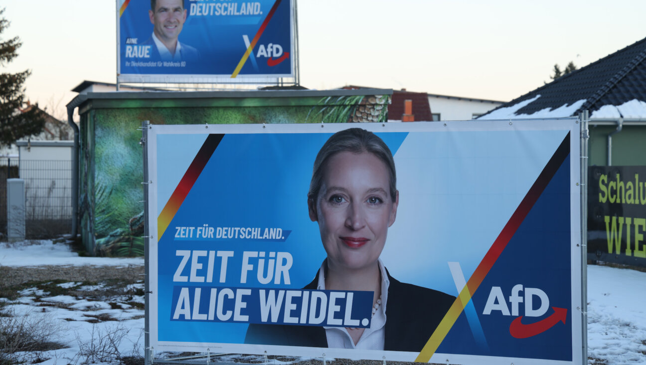 Election campaign posters of the far-right Alternative for Germany (AfD) show local candidate Arne Raue and chancellor candidate Alice Weidel near Brandenburg, Germany. (Sean Gallup/Getty Images)